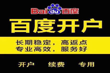 百度竞价行业应用案例：解析及实战操作